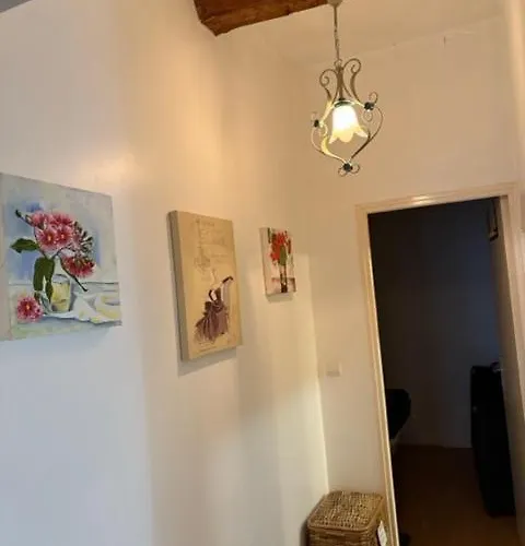 Historic French Townhouse Nyaraló Saint-Thibéry