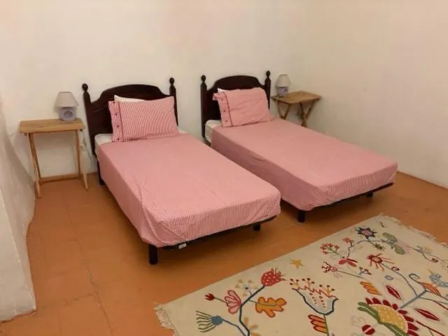 Historic French Townhouse Nyaraló Saint-Thibéry